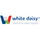 White Daisy